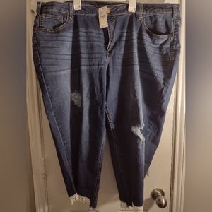 Lane Bryant girlfriend crop